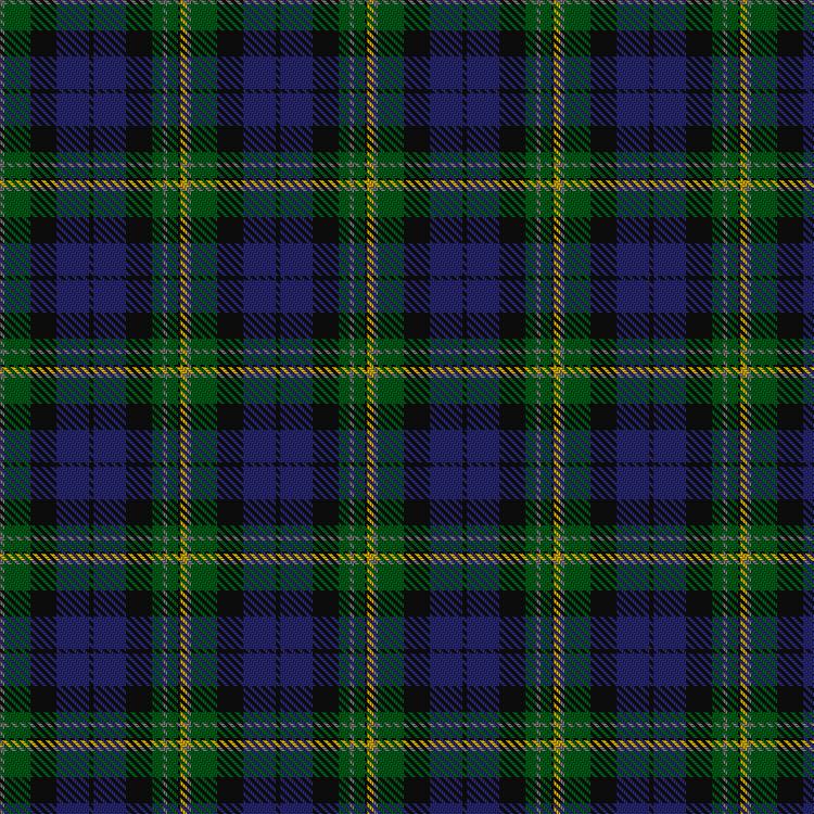 Tartan image: Paterson (Dalgleish Version). Click on this image to see a more detailed version.