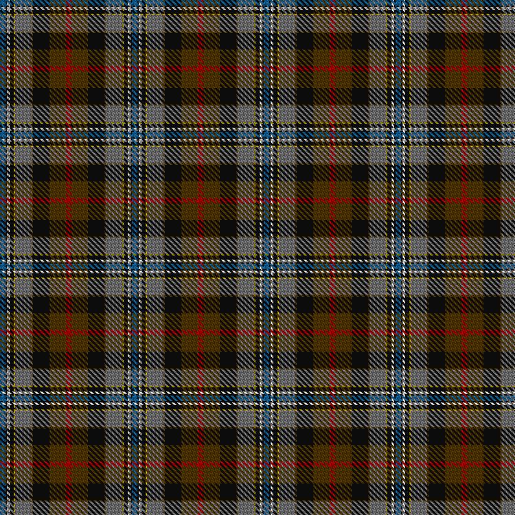 Tartan image: Campbell Hunting. Click on this image to see a more detailed version.
