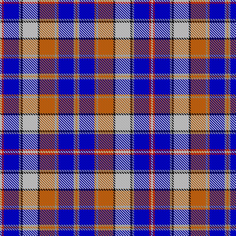 Tartan image: Robieson Kith & Kin (Personal). Click on this image to see a more detailed version.