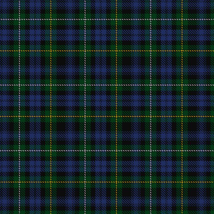 Tartan image: Campbell of Argyll. Click on this image to see a more detailed version.