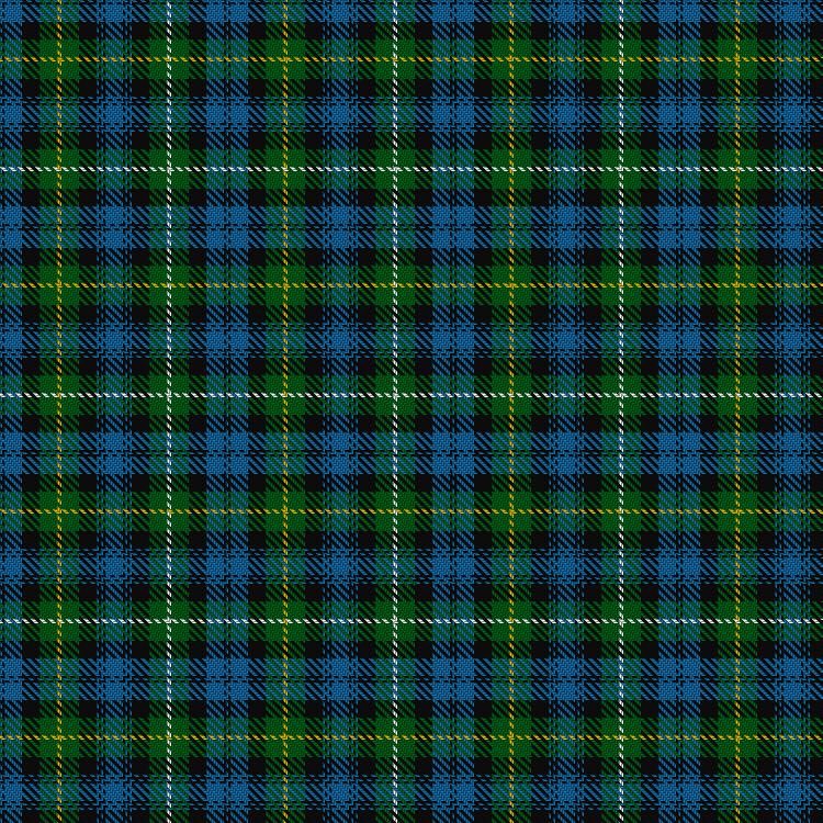 Tartan image: Campbell of Argyll (no guards). Click on this image to see a more detailed version.