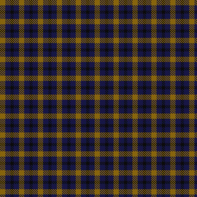 Tartan image: Kazakhstan Relic. Click on this image to see a more detailed version.