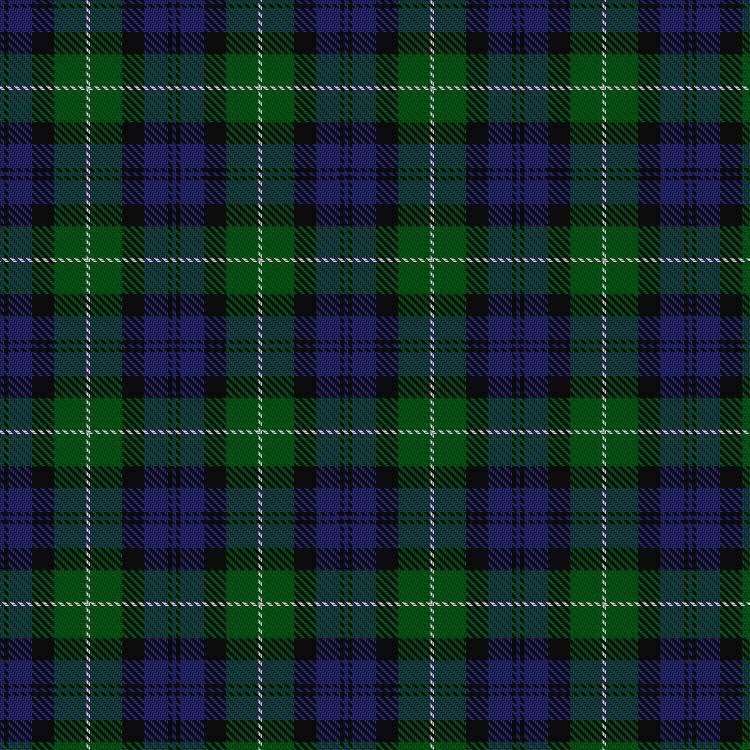 Tartan image: Campbell of Argyll (Smiths). Click on this image to see a more detailed version.