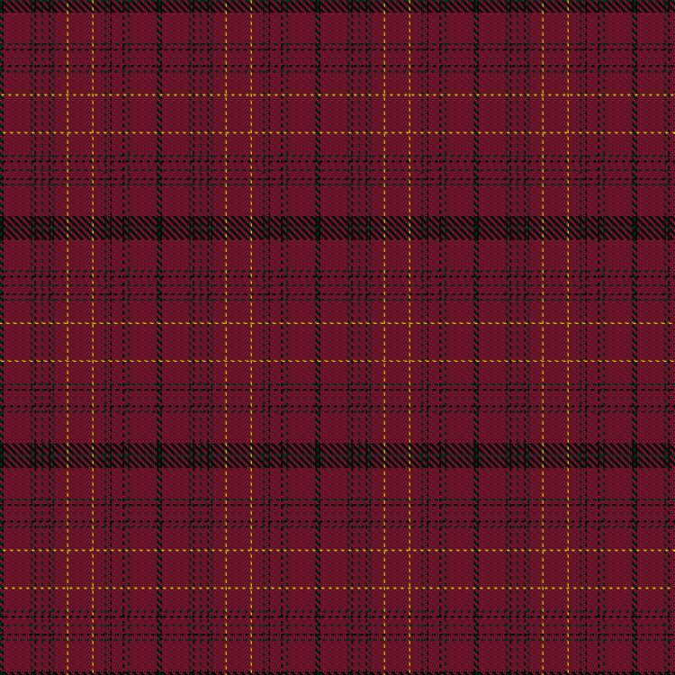 Tartan image: Williams of Wales. Click on this image to see a more detailed version.