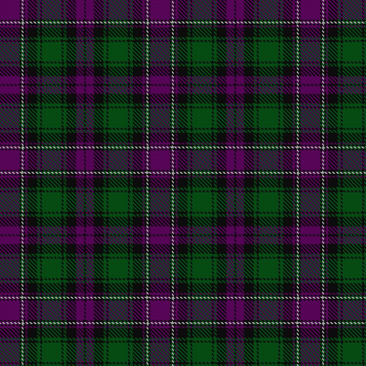 Tartan image: Caithelyn (Personal). Click on this image to see a more detailed version.