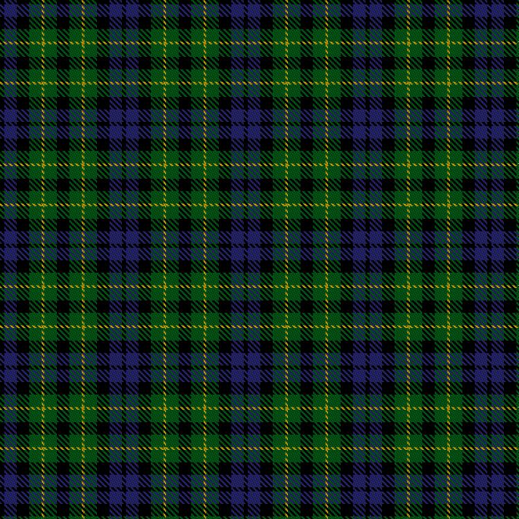 Tartan image: Campbell of Breadalbane #2. Click on this image to see a more detailed version.