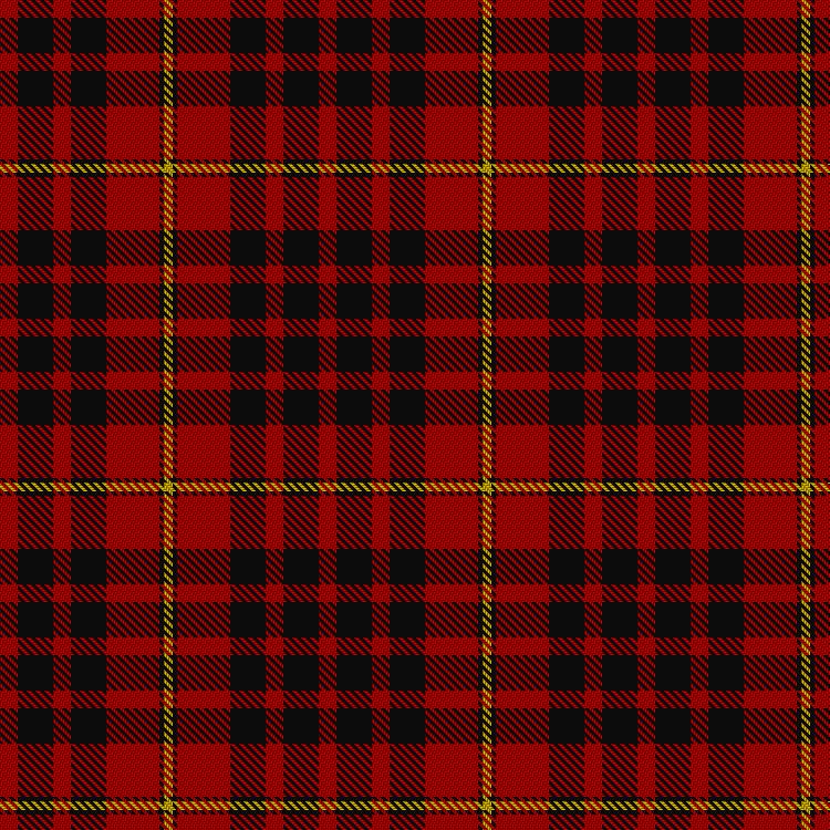Tartan image: MacDonald of Ardnamurchan. Click on this image to see a more detailed version.
