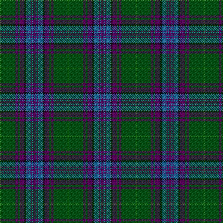 Tartan image: Jones Hunting. Click on this image to see a more detailed version.