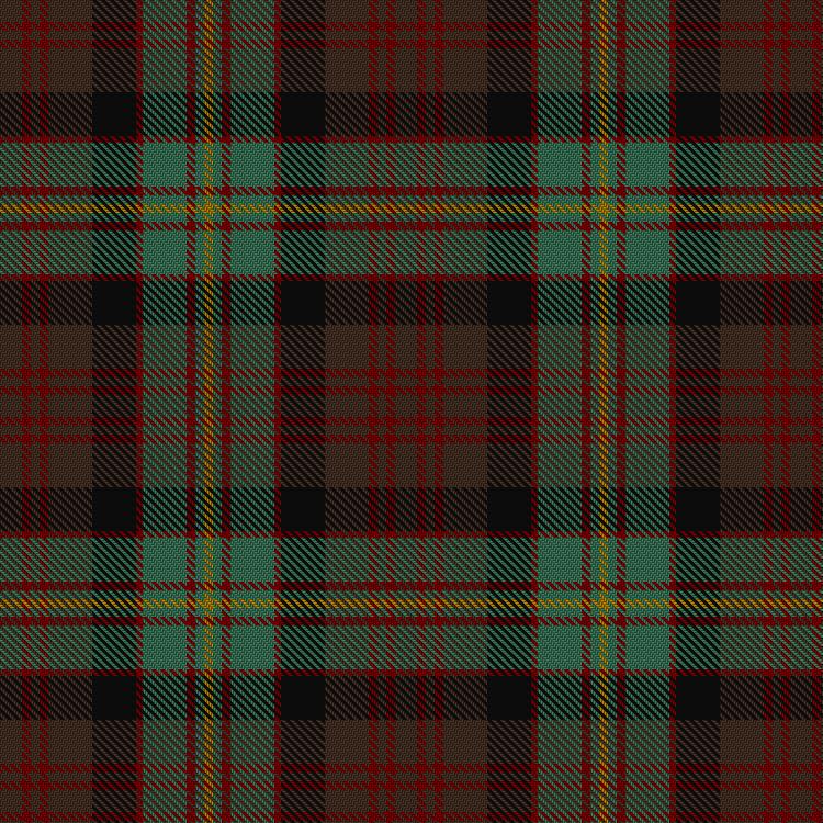 Tartan image: Cameron of Erracht (WCWM). Click on this image to see a more detailed version.