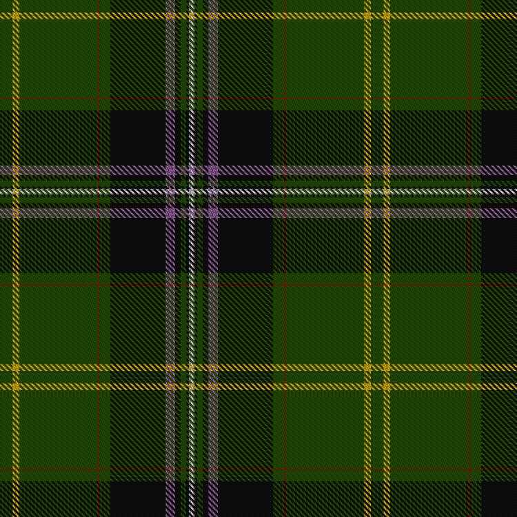 Tartan image: Unnamed (Cant) #10. Click on this image to see a more detailed version.