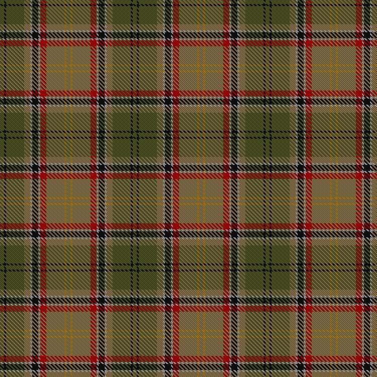 Tartan image: Asman, Day Tan (Personal). Click on this image to see a more detailed version.