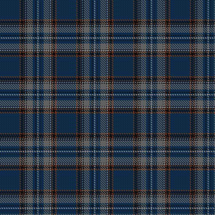 Tartan image: British Caledonian Airways #1. Click on this image to see a more detailed version.