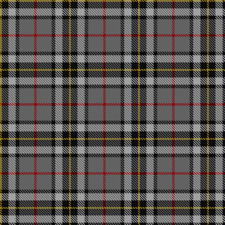 Tartan image: Thomson Dress (Grey). Click on this image to see a more detailed version.