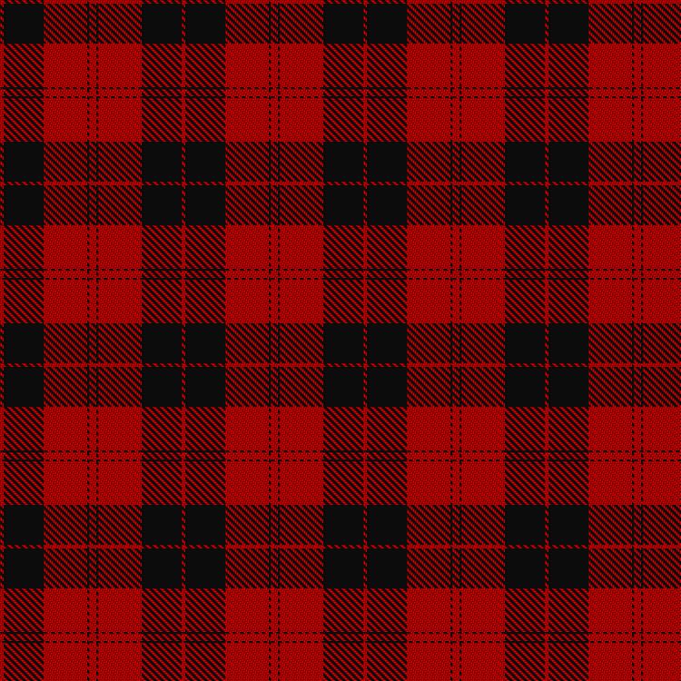 Tartan image: Campbell, Red. Click on this image to see a more detailed version.