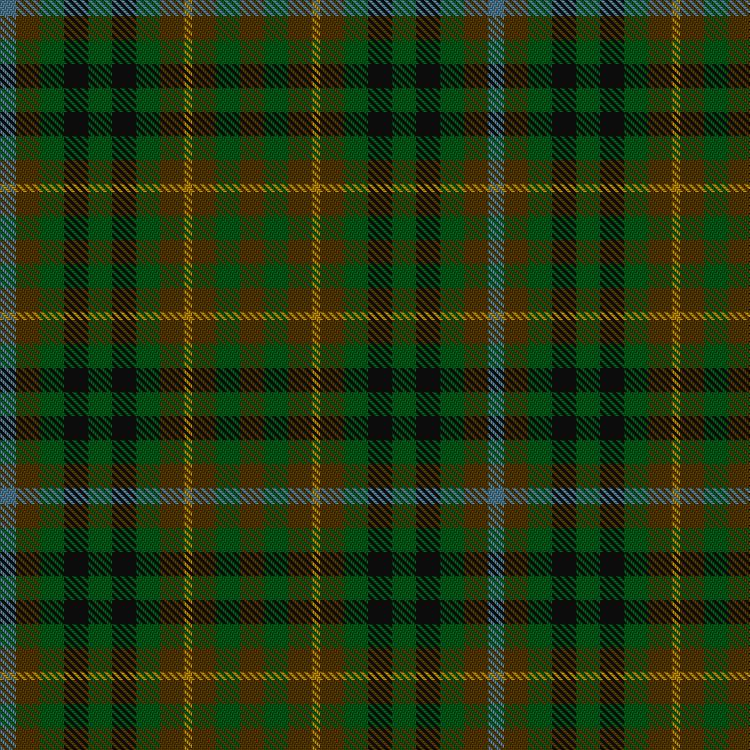 Tartan image: Buchanan Hunting (Scott Adie) #2. Click on this image to see a more detailed version.