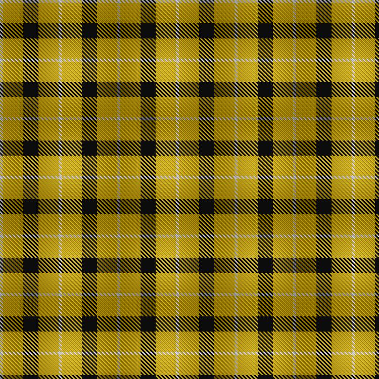 Tartan image: Silvicola. Click on this image to see a more detailed version.