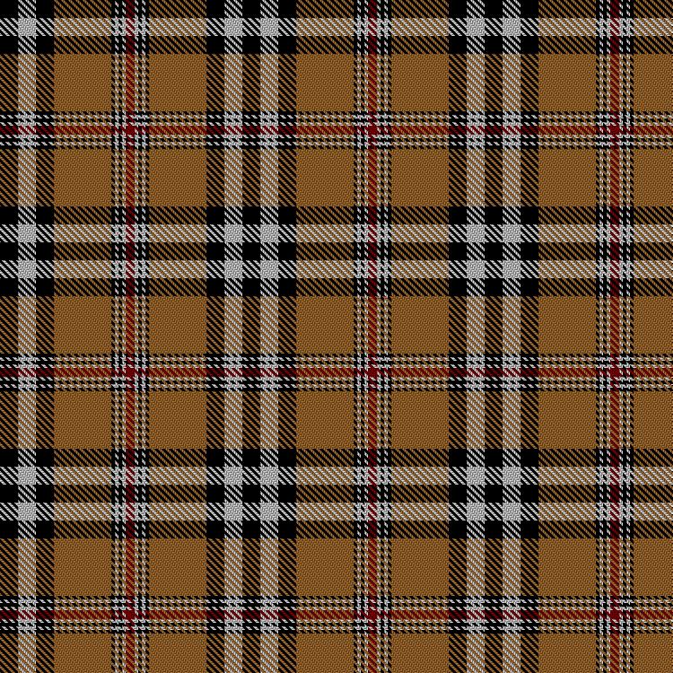 Tartan image: Burberry (Counterfeit #4). Click on this image to see a more detailed version.