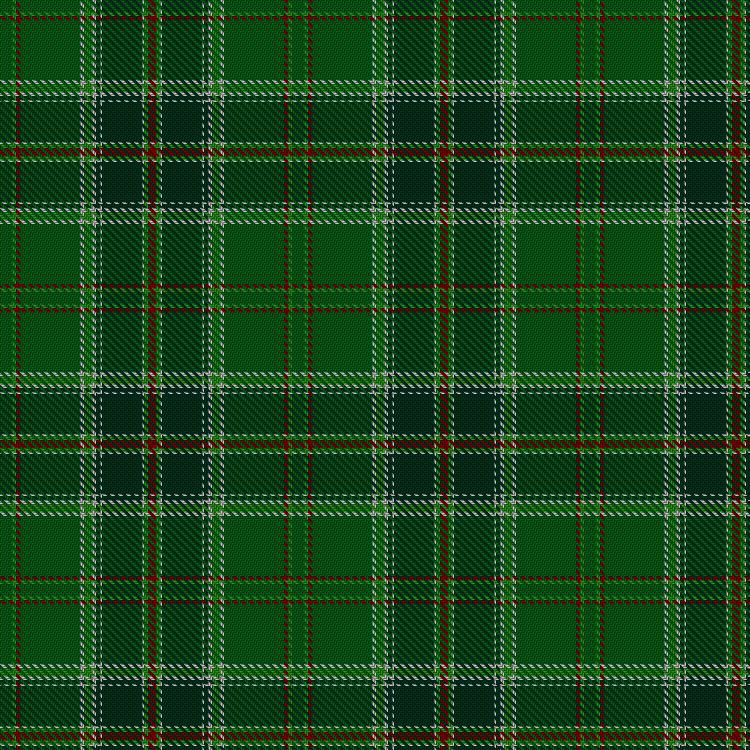 Tartan image: All Ireland Green. Click on this image to see a more detailed version.