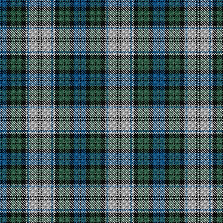 Tartan image: 42nd Dress #4. Click on this image to see a more detailed version.