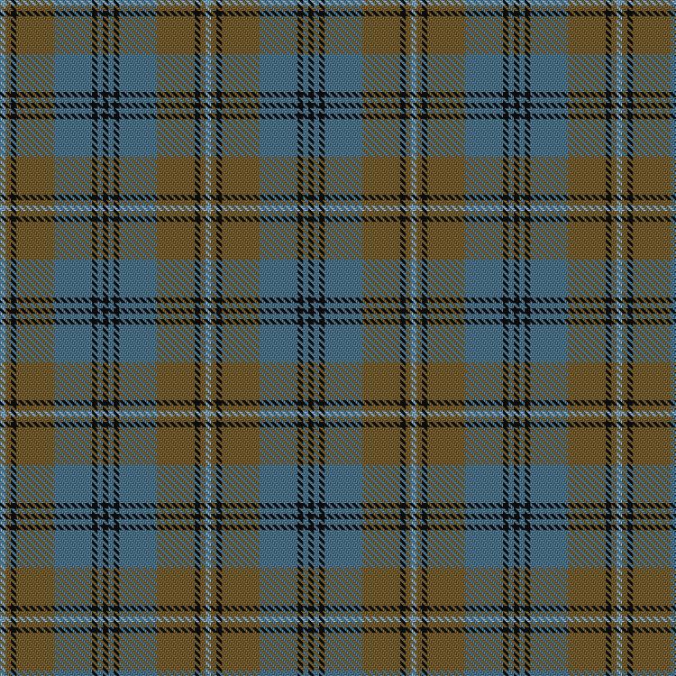 Tartan image: Auld Lang Syne (Philip King Tailoring). Click on this image to see a more detailed version.