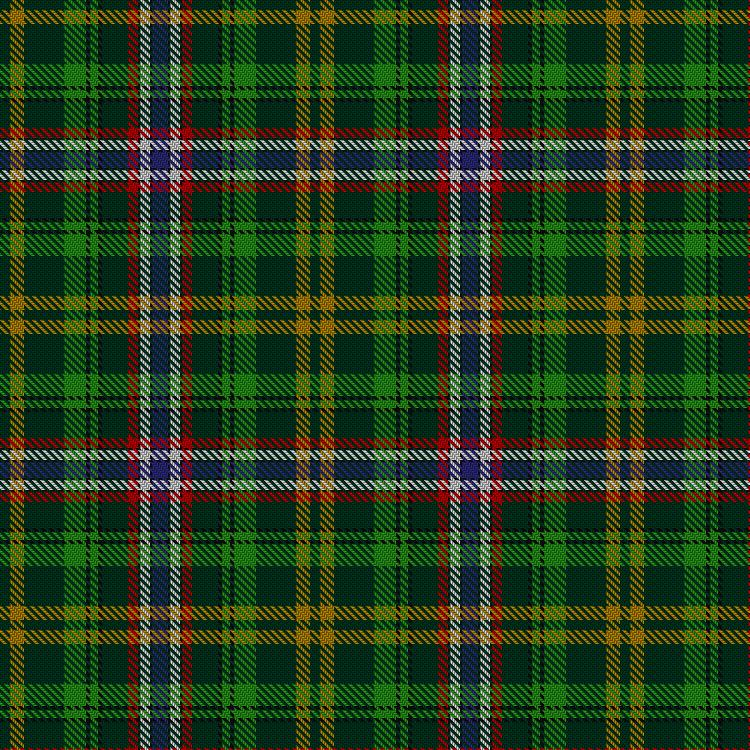 Tartan image: Wild Geese. Click on this image to see a more detailed version.