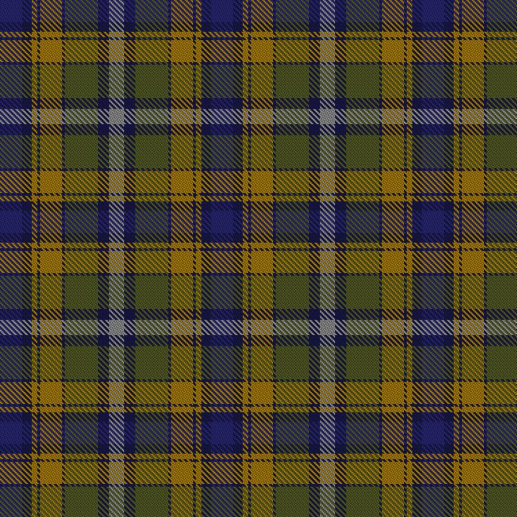Tartan image: Wicklow County, Crest Range. Click on this image to see a more detailed version.