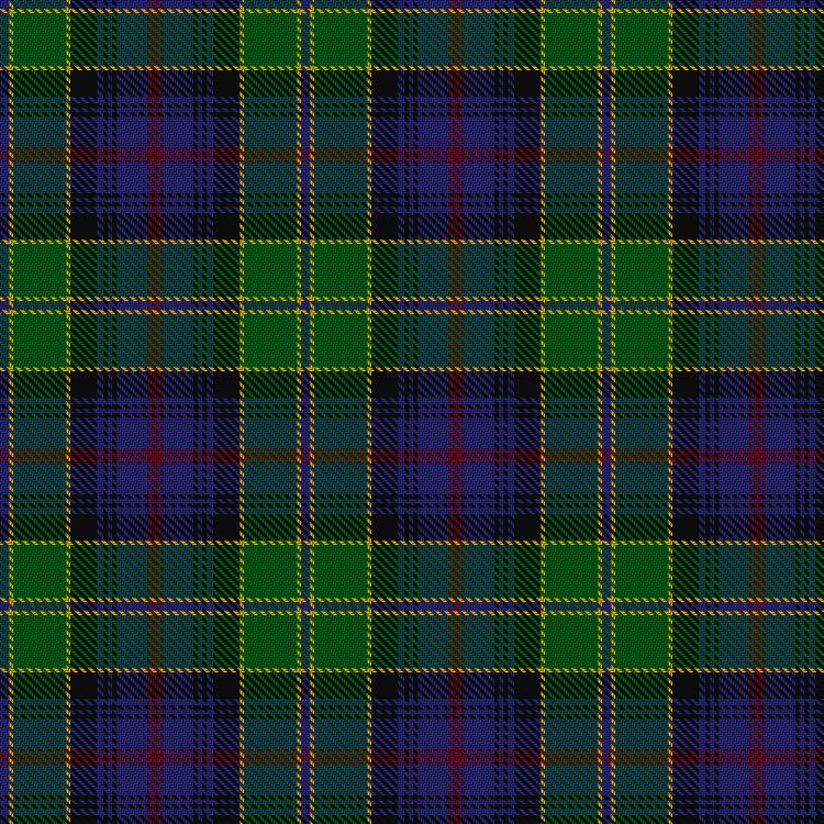 Tartan image: de Albergaria, Baron of Greencastle, Hunting (Personal). Click on this image to see a more detailed version.