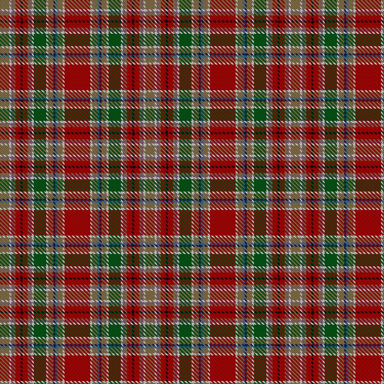 Tartan image: Campbell, New Louden. Click on this image to see a more detailed version.