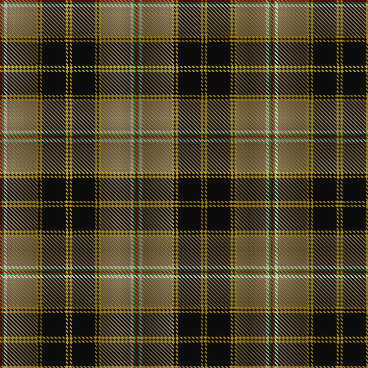 Tartan image: Spotsylvania County Sheriff's Office. Click on this image to see a more detailed version.