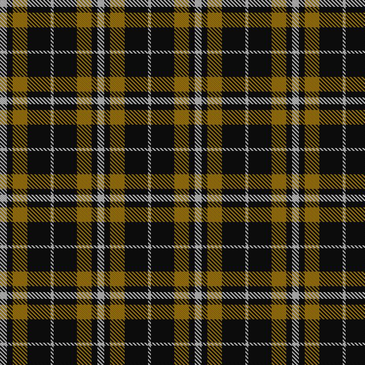Tartan image: Longford County, Crest Range. Click on this image to see a more detailed version.