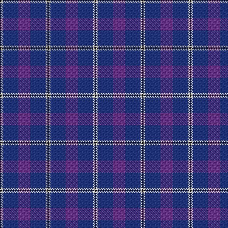 Tartan image: Murdoch, Ellis (Personal). Click on this image to see a more detailed version.