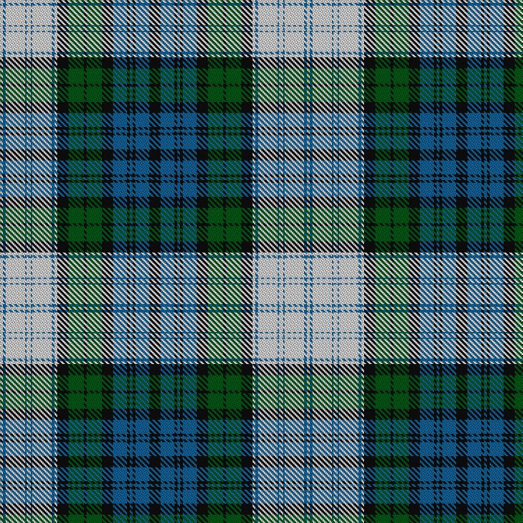 Tartan image: 42nd Dress #5. Click on this image to see a more detailed version.