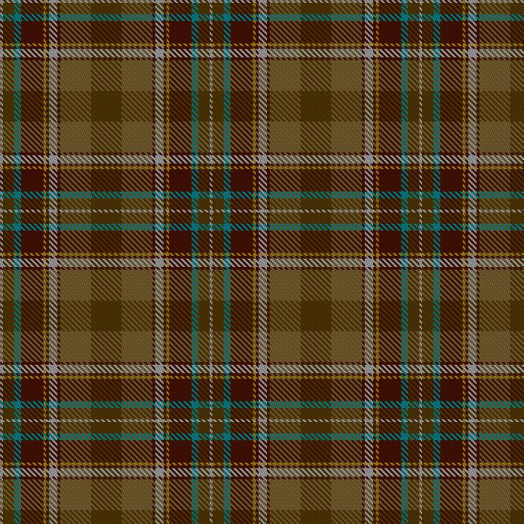Tartan image: Bruce of Kinnaird (Vivienne Westwood Design). Click on this image to see a more detailed version.
