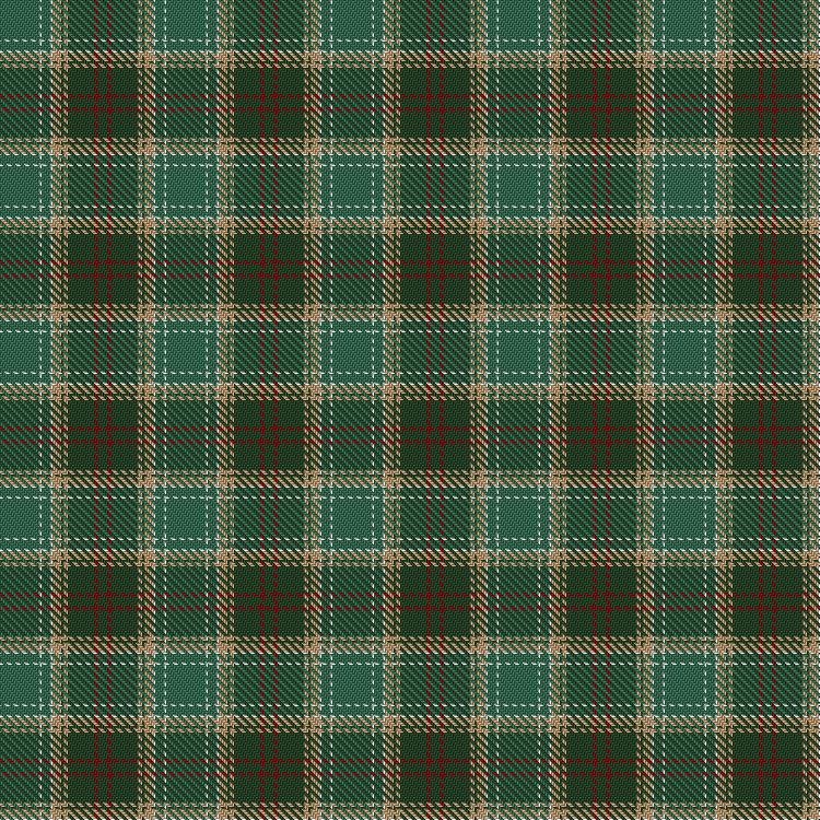 Tartan image: Michigan, State of. Click on this image to see a more detailed version.