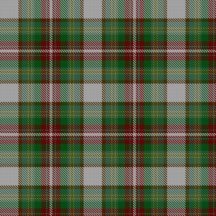 Tartan image: Seller Dress (Dance). Click on this image to see a more detailed version.