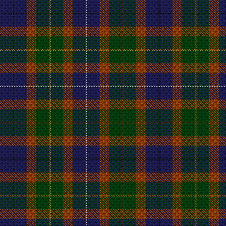 Tartan image: Amnesty. Click on this image to see a more detailed version.