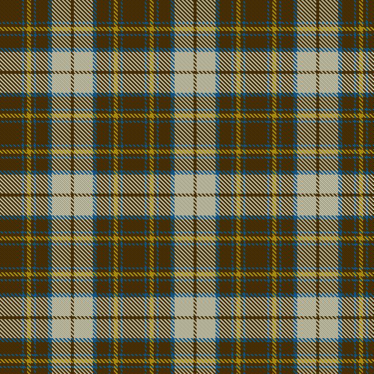Tartan image: Burns Battalion. Click on this image to see a more detailed version.