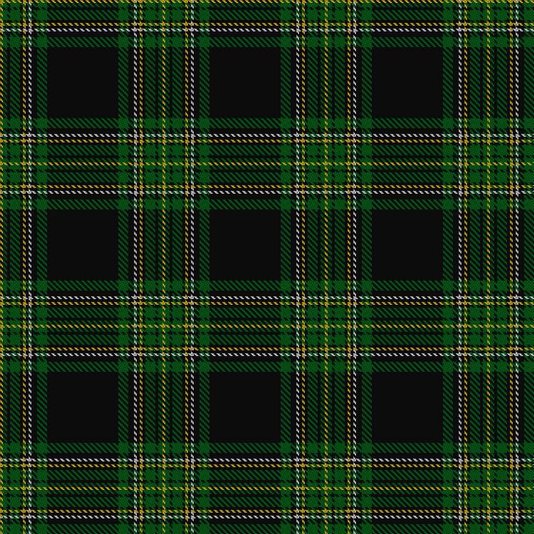 Tartan image: Initial City Link. Click on this image to see a more detailed version.