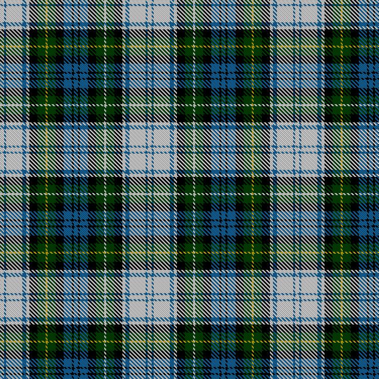 Tartan image: Campbell Dress #1. Click on this image to see a more detailed version.