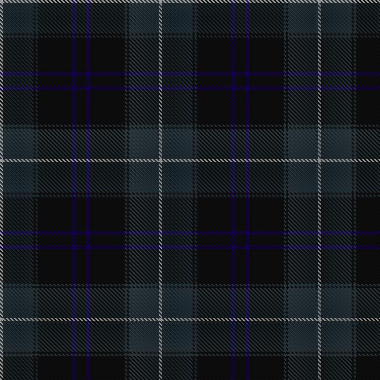 Tartan image: Patriot, The. Click on this image to see a more detailed version.