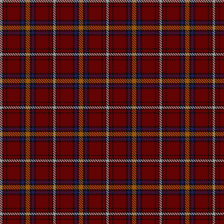 Tartan image: Castle Stewart. Click on this image to see a more detailed version.
