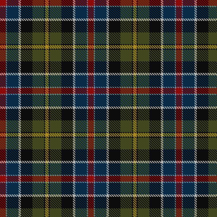 Tartan image: Culloden 1746 - Original. Click on this image to see a more detailed version.