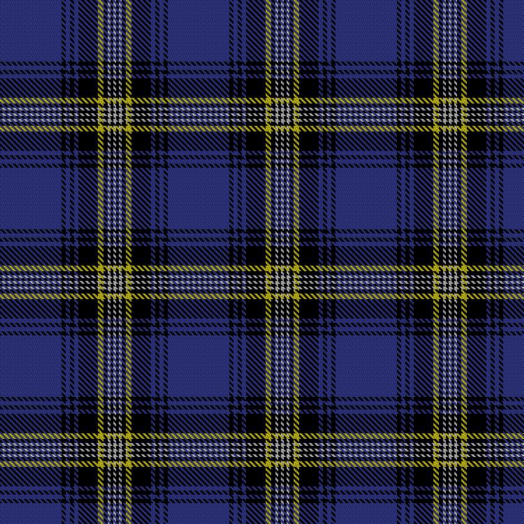 Tartan image: Kang (Personal). Click on this image to see a more detailed version.