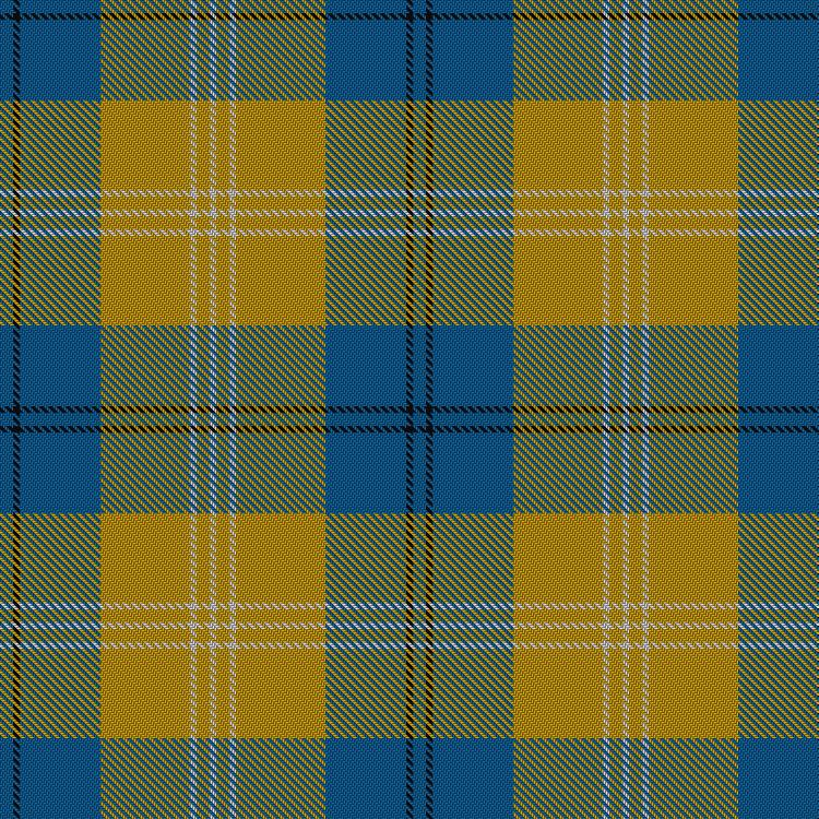 Tartan image: Tilburg Hunting. Click on this image to see a more detailed version.