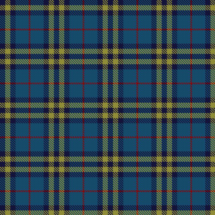 Tartan image: Tilburg. Click on this image to see a more detailed version.