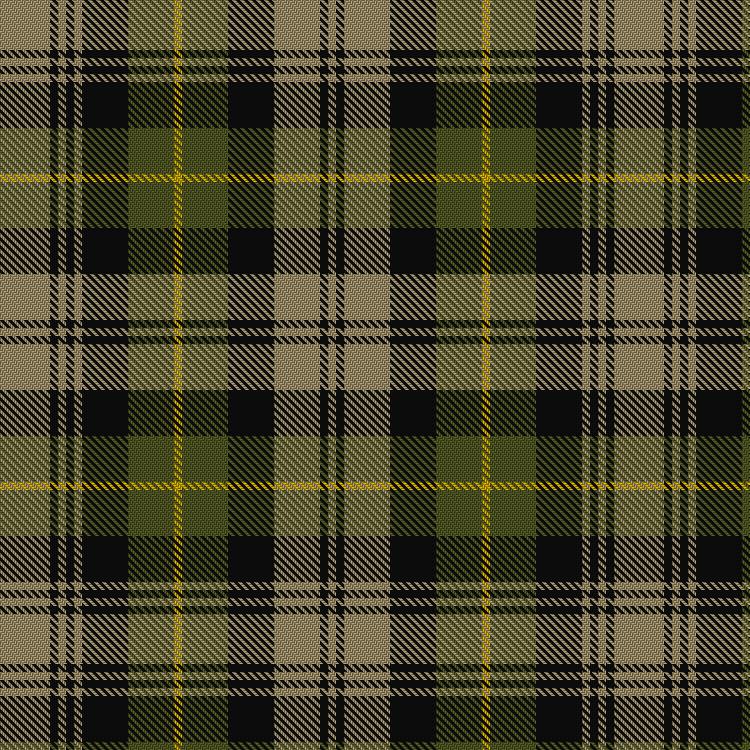 Tartan image: Poulter Green. Click on this image to see a more detailed version.