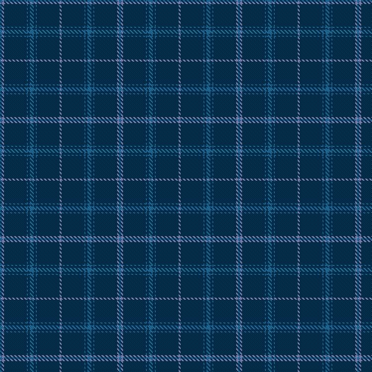 Tartan image: Covenant College. Click on this image to see a more detailed version.