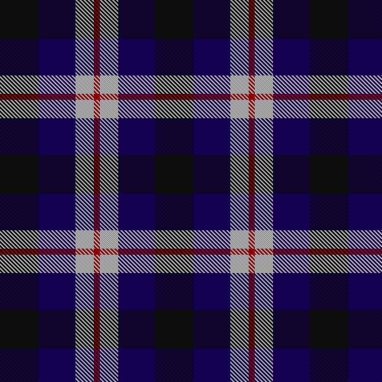 Tartan image: Raven. Click on this image to see a more detailed version.