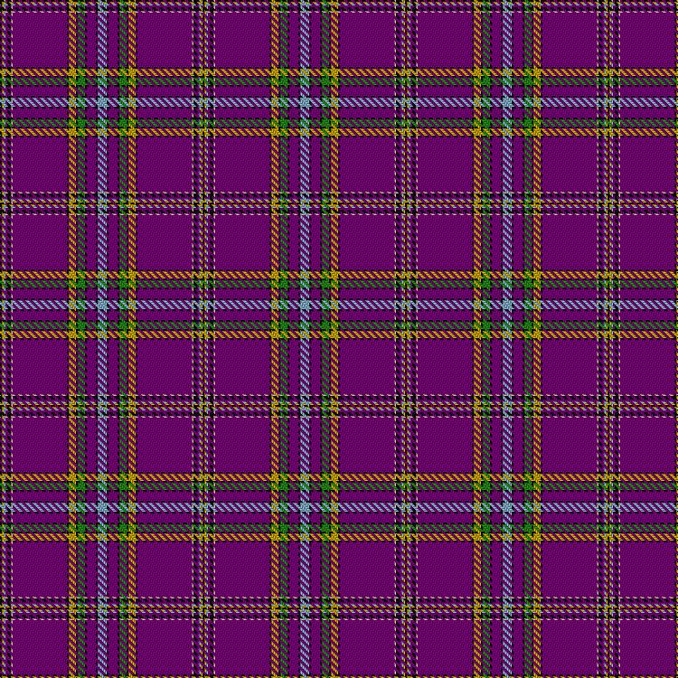 Tartan image: House of Holland. Click on this image to see a more detailed version.