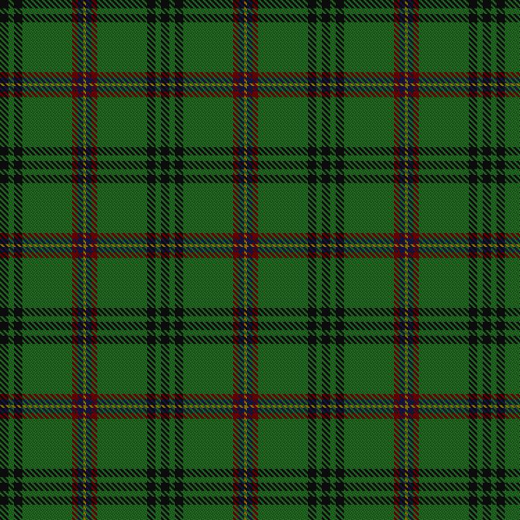 Tartan image: Selvon-Bruce (Personal). Click on this image to see a more detailed version.